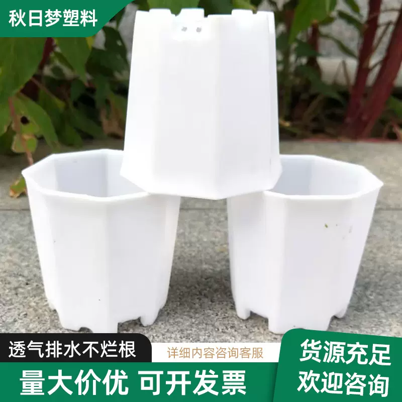 八角盆创意多肉花盆塑料小花盆植物花卉育苗盆家用阳台透气花盆