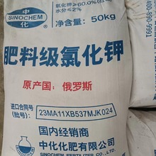 �Ȼ�� �F؛ �t� ���l ⛷� �V�����ϏS�ҬF؛ֱ�l ����ɰl