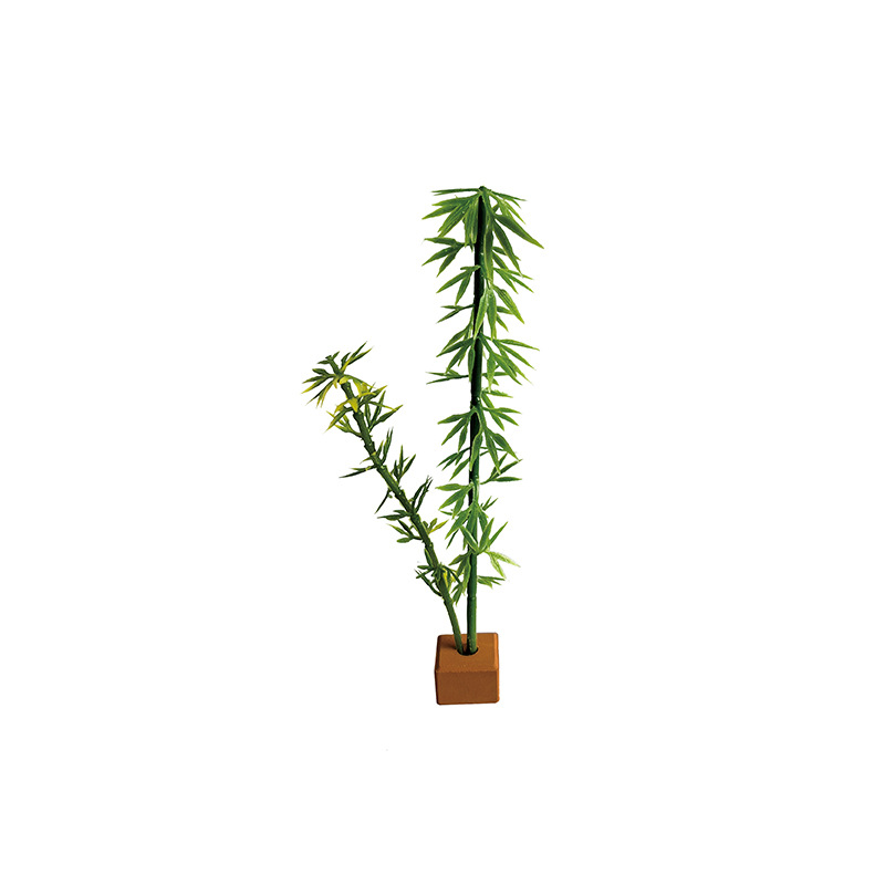 Бамбук 1 Группа 3