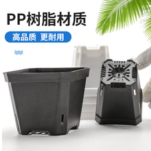 ?СڷӺСڷбPռ{мnʽ