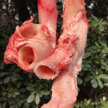 新鲜牛心管牛黄喉牛心管现杀牛心管冷冻心管火锅烧烤牛心管商用