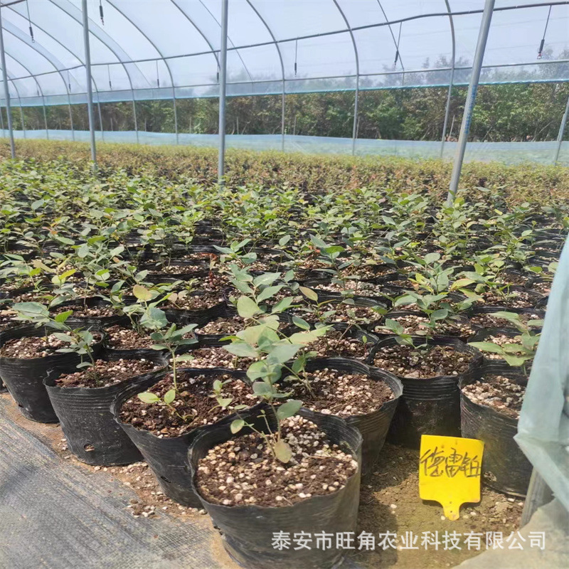 9a2e5c5474e18dccedafb5c7c581e9