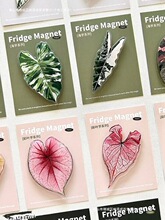 �b�Ʒϵ�оGֲ���ԼҾӴ����b�ֲ��Ꭷ�����Nֲ���ħ��