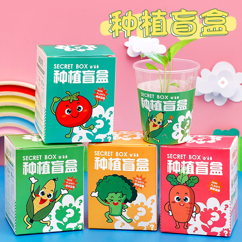 幼儿园种植盆栽盲盒 儿童植物花卉种子小礼品创意桌面摆件小盆栽