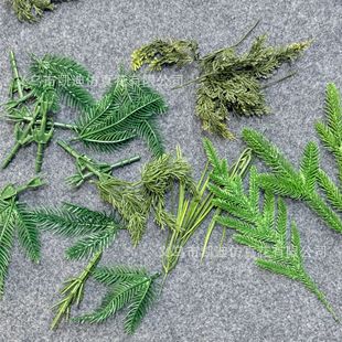 ֲ����֦ �羳�����������w�p�����֦�}�Q��DIY�b�����߷���