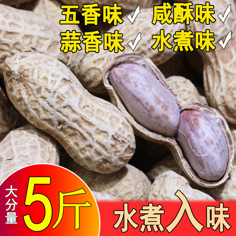 24年新龙岩花生带壳水煮白晒咸干蒜香五香湿烤水炒货零食熟批发