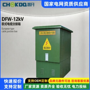 ����35kv�߉���|��֧��10kvһ�M�����ĳ�DFW-12/630�Wʽ�ֽ���
