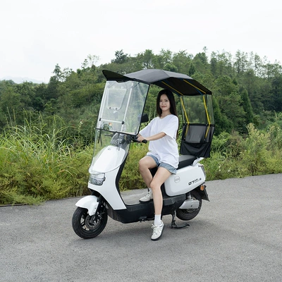 Elektromobil üçün ön şüşə çətiri (günlük), Electric Vehicle Canopy, Battery