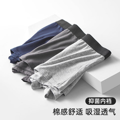 Men's underwear men's fourcorner pants pure cotton large size men's antibacterial straight-through transparent shorts live streaming