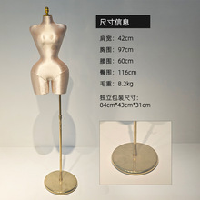 wow定制模特跨境欧美大码女半身假人道具细腰大屁股专用展示架