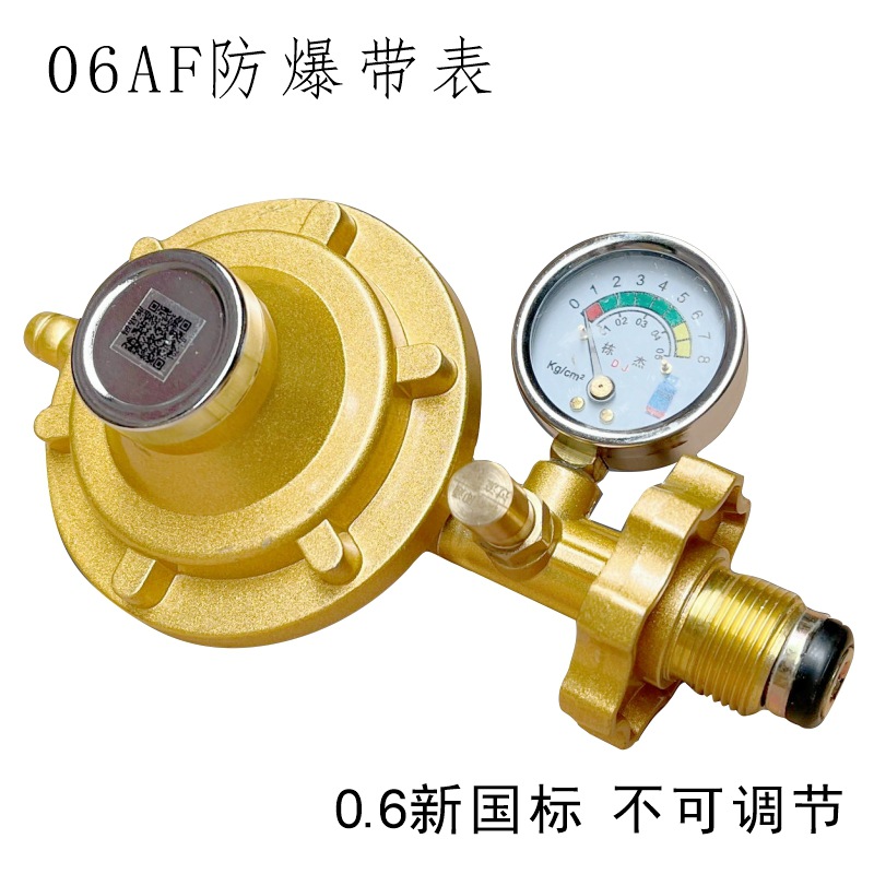 减压阀06AF防爆带表.jpg