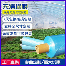 po膜农用薄膜塑料防冻温室塑料膜消雾大棚膜加厚蔬菜棚保温无滴膜