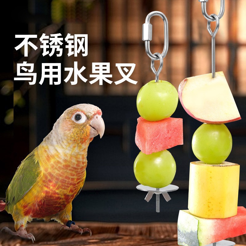 Tiger-Skin Cockatiel and Lovebird Bird Stainless Steel Fruit Fork Automatic Feeder New Model Fruit Stainless Steel Bird Feeder