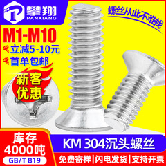 304ステンレスネジのネジの十字溝の平頭のネジのKMの機械の糸の小さいネジのm 2m 3m 4m 5m 6