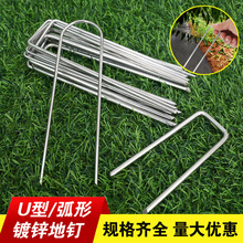 地布钉防草布地钉u型园艺钉钢丝地钉草坪镀锌斜尖地钉多肉固定器