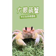 ���Aɳз����з�^�p�з�ľ�зɳз�����з����з��܊з����з