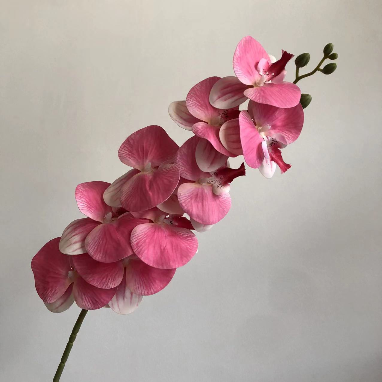 분홍색