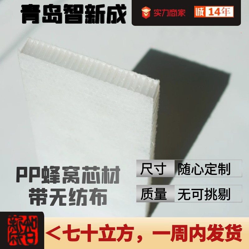 优质高强度PP蜂窝船舶墙板地板甲板 隔音隔热 塑料蜂窝复合板