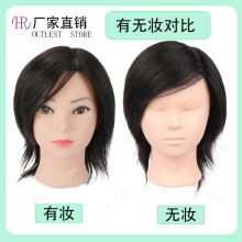 真发学徒美发头模练手理发店假人头编发盘发造型烫卷公仔模特头