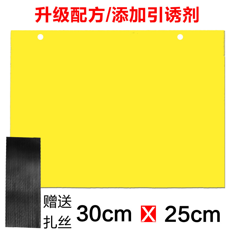 (초가치 특대형) 25X30 양면 노란색 판 20장 (이벤트 종료가 다가오고 있습니다)