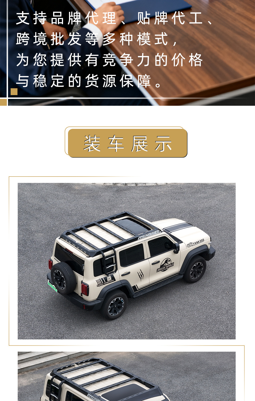 Roof Rack Modified Expansion Platform Side Ladder Side Armor for Tank 300 Black Panther Series