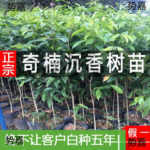 ���F��骳�������Ĵ�С�~��z�ľһ���Gľ�޽������纣�Ϙ��ľ