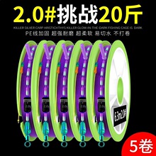 成品主线组套装黑坑钓鱼线组鱼线八字环绑好的5.4米线组主线