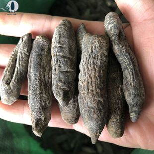 ���l���х�ȥ�����̩�����Ӆ��عυ���Ƥ���^����80-85�^������