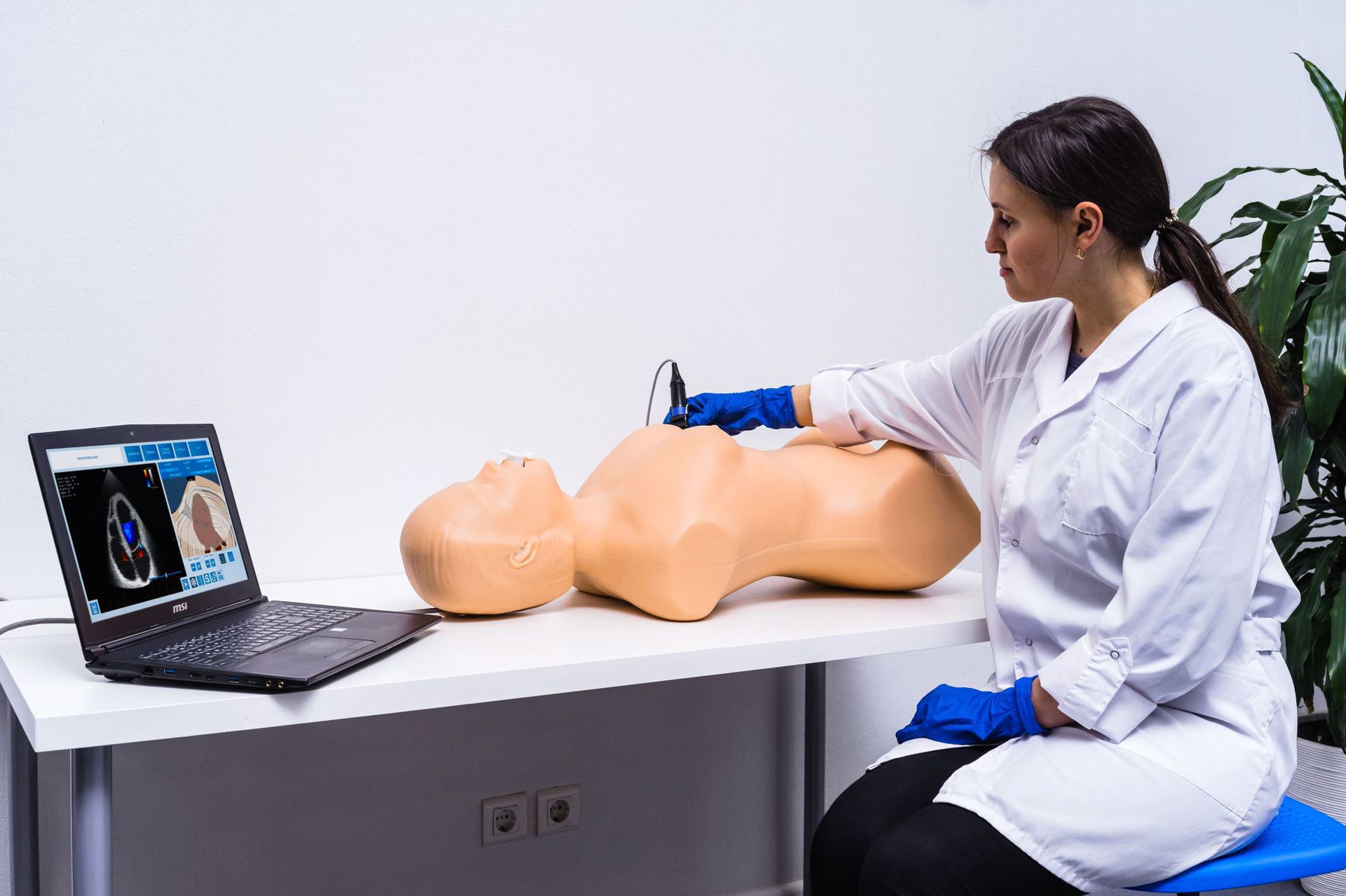 SonoVision�������������ʵģ����