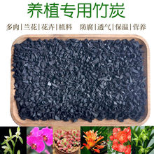 ��̿�w���r��ֲ���B�����m���䷽���԰���ľ̿�����|ֲ�ϠI�B��