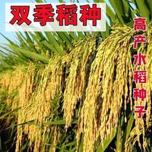 �����Nˮ���N�Ӻ�������10̖�N�ѳ�Ҏ�A��Ŵ�׵��ȃ��|�����׷N��