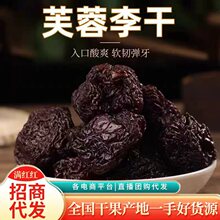 代发芙蓉李干酸甜果干红心大李子干休闲解馋小吃年货零食果脯蜜饯
