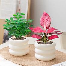 �˷���ؔ���������ļ����B�҃ȿ͏d�̨���ܾGֲ����ȩ�k����ֲ��