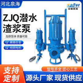 定制ZJQ立式潜水渣浆泵高铬合金大流量泥浆泵双搅拌潜水泥沙泵