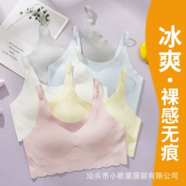 女士大码内裤;女士三角裤;男士平角裤