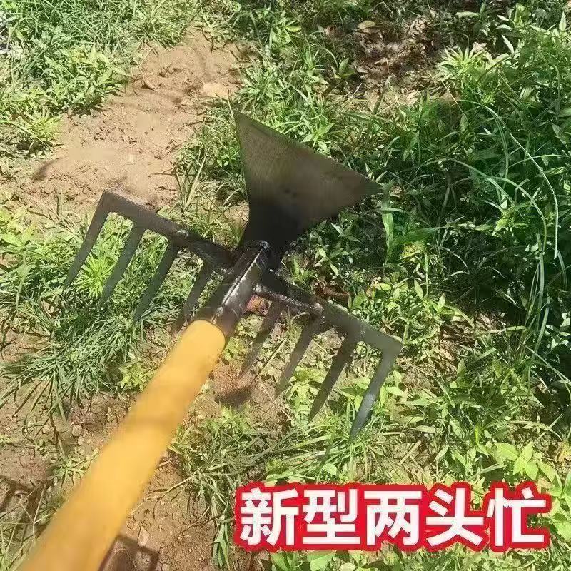 微信图片_202505070950581.jpg