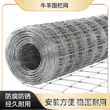 养殖围栏网镀锌铁丝草原围栏网牛羊鹿农场养殖围栏网牛羊栏围栏网