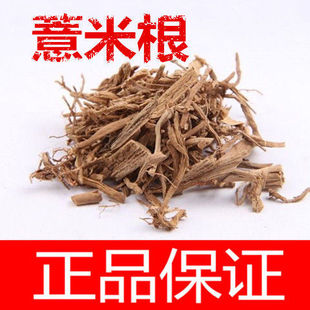 ޲�׸���؛ ���ʸ� ��ș��޲�Ӹ� ޲���ʸ� ޲���ʸ� ��Ʒ���]
