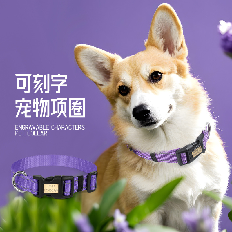 Collar de perro, anillo de cuello de perro, antelación a la pérdida de perros de tamaño medio, Corgi, cuerda de tracción para perros pequeños, cuerda para caminar para perros.