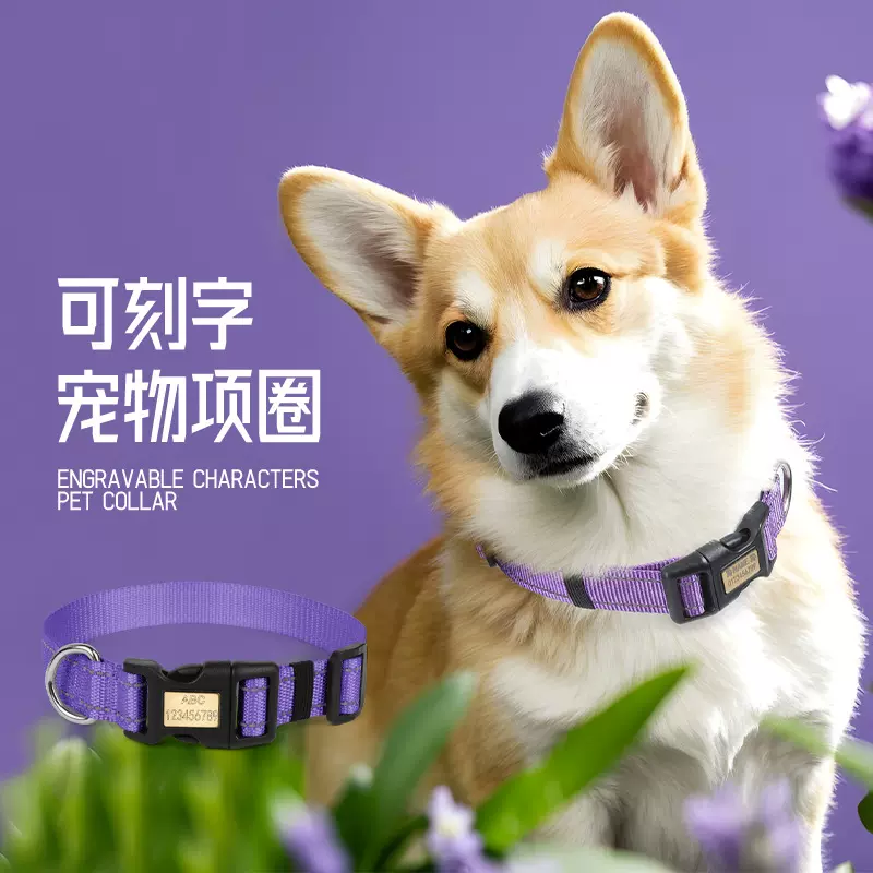 狗狗项圈狗脖圈刻字防丢失中型犬柴犬柯基小型犬泰迪牵引绳遛狗绳