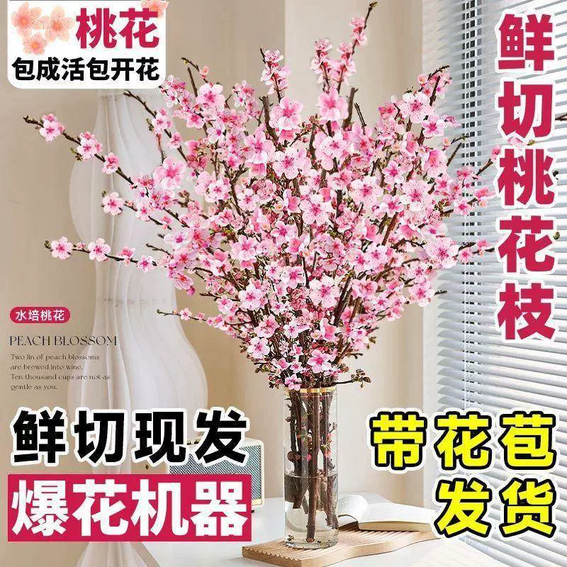 Ветви персикового цвета, гидропонные растения, легко выращиваемые в помещении свежие ветви снежной ивы, ветви красной сливы в водной культуре с бутонами, свежесрезанные цветы и зеленые растения.