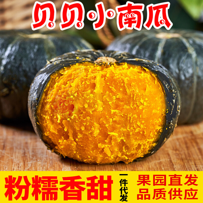 Xiaobeibei Pumpkin Fragrant and Glutinous Baby Food Complementary Seasonal Fruit Chestnut Flavored Fruit Powder Glutinous Small Pumpkin Dropshipping