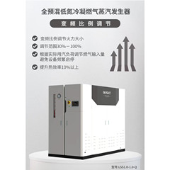 劳士特全自动立式商用燃气锅炉1吨大型工业蒸煮洗涤蒸汽发生器