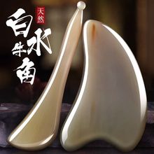 ţǹ沿ӺĘĘ۲ܽԺȻһl