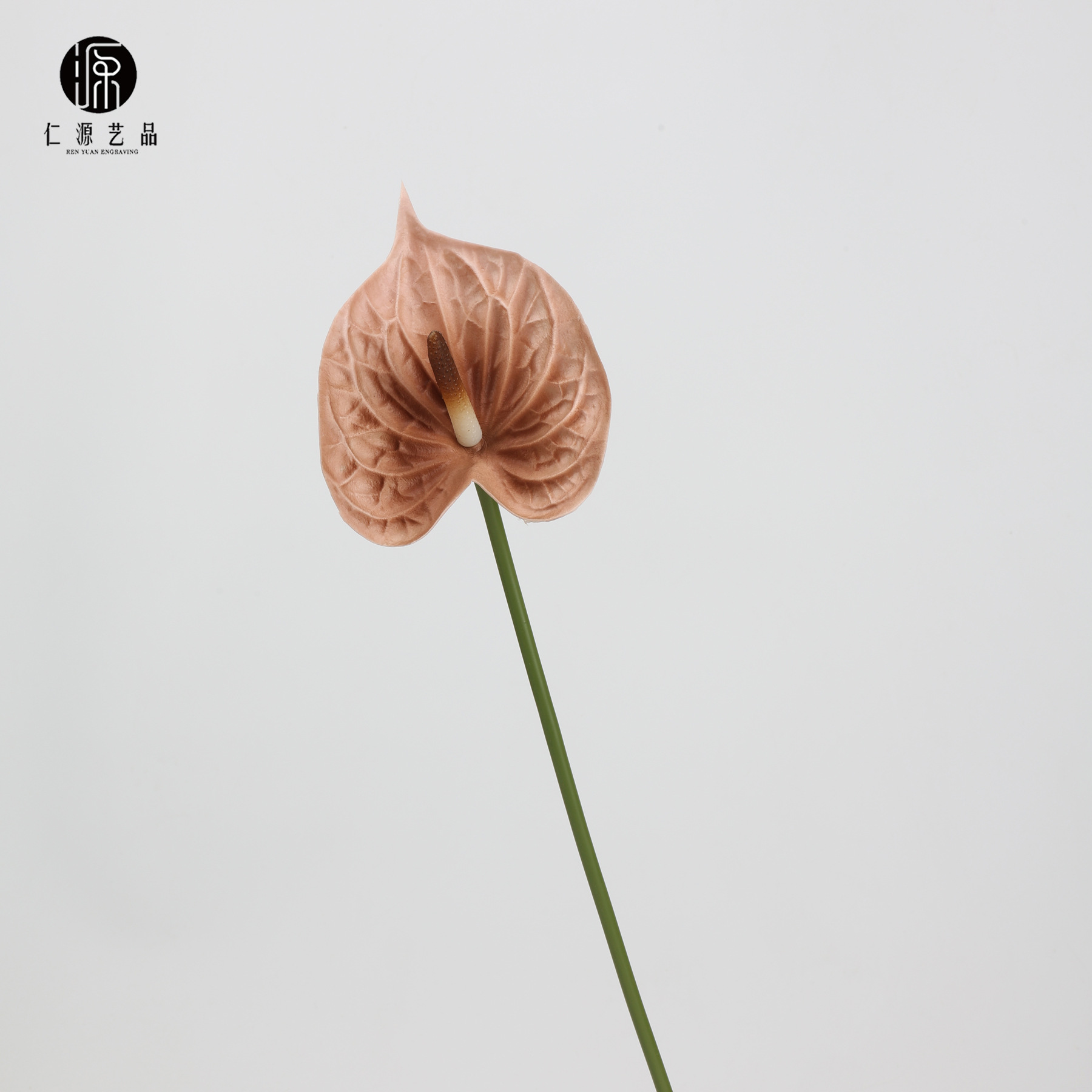 커피색 (신규)