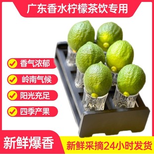 �V�|��ˮ�����̲茣�þ��xһ����5�������r���o�Ѯa��ֱ��