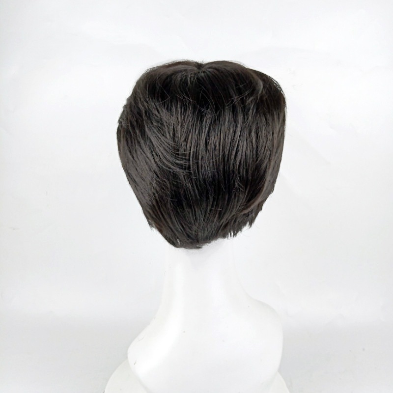 Men's Fluffy Short Hair Wig European American Style Center Parting Synthetic Fiber Wigs_voghion.com