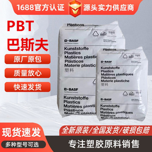 PBT Germany BASF B4300G6 high flow high toughness 30% glass fiber reinforced automotive application shell