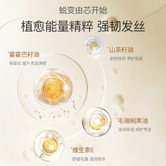 Agulia Tea Seed Oil Hair Nourishing Essence 40ml, Root Nourishing, Hydrating, Moisturizing, Shining, Smoothing, Unisex Hair Care