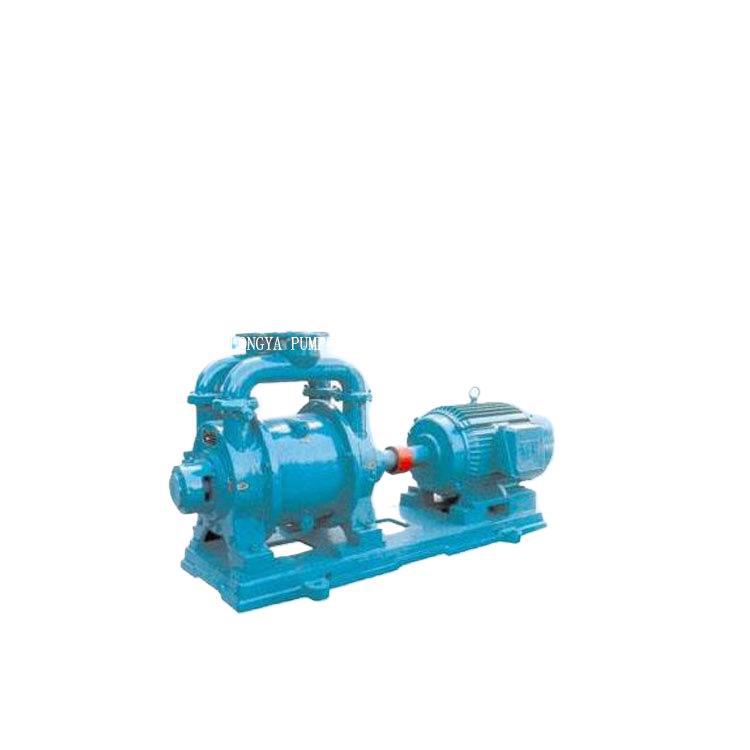 【厂家】上海2SK-20变频变频永磁真空泵 SK-30BT4真空泵